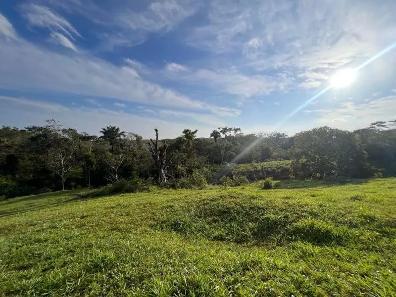 Montezuma Scenic Lots photo 14